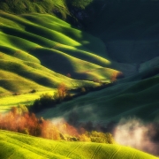 Tuscany field