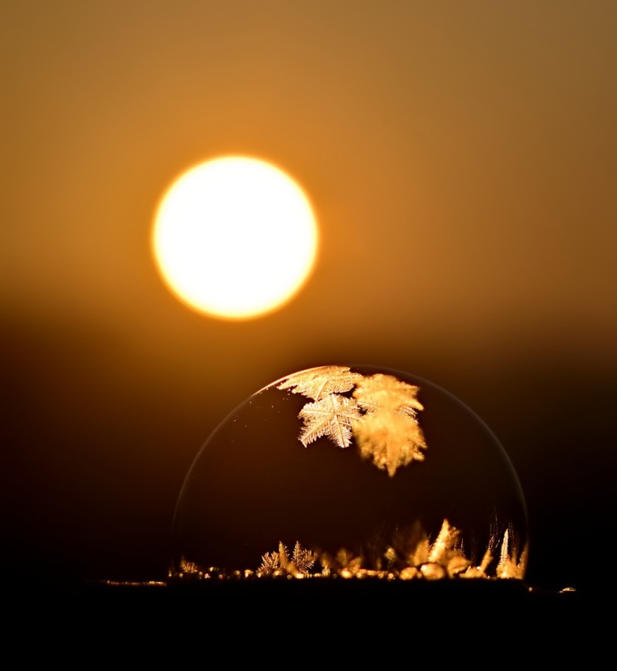 .... PE. Zdjęcie 338506