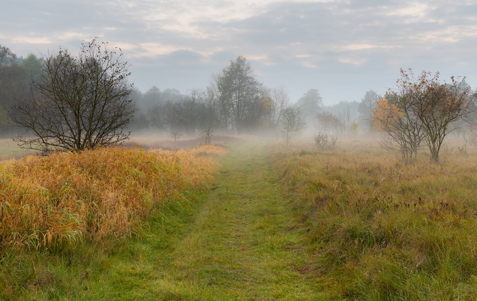 walz - ***. . Zdjęcie 328091