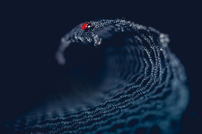 bystrzak - na fali. . Zdjęcie 83223