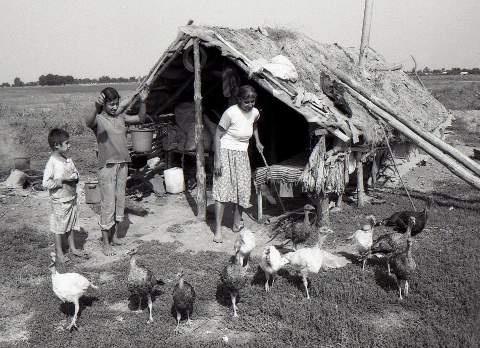 jakabtibor - Nomades 2. Many families live in the middle of nowhere(in different european countries!!!). This is one of them.. Zdjęcie 37580