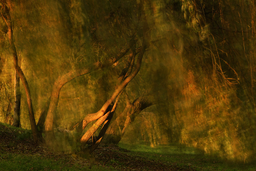  - Wiatr. . Zdjęcie 6633