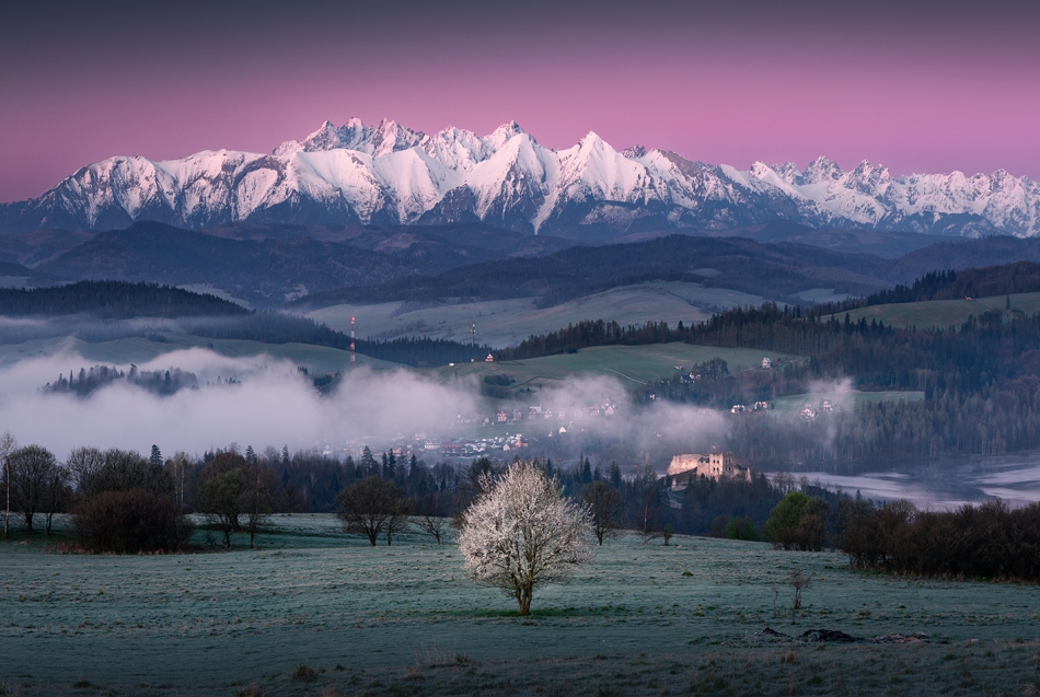 karol_nienartowicz - Majowy poranek. Widok na Tatry z Pienin; 05.2023. Zdjęcie 314816