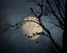 Twilight...