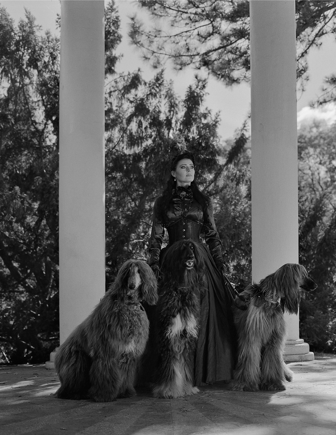 kazan1 - .. . Zdjęcie 154824