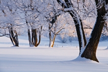 Winterreise.