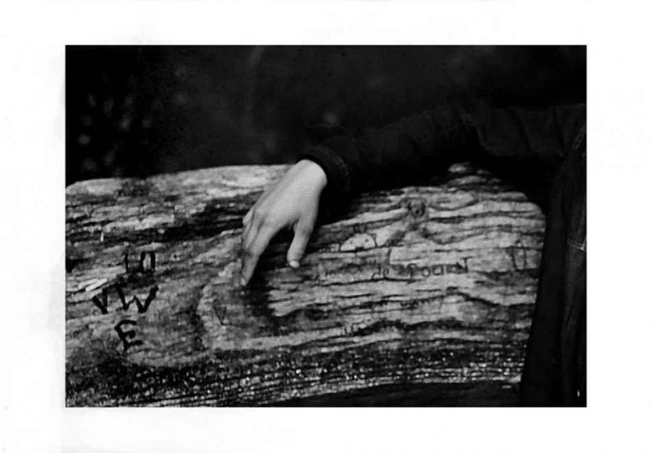 nowikowa - . . Zdjęcie 288506