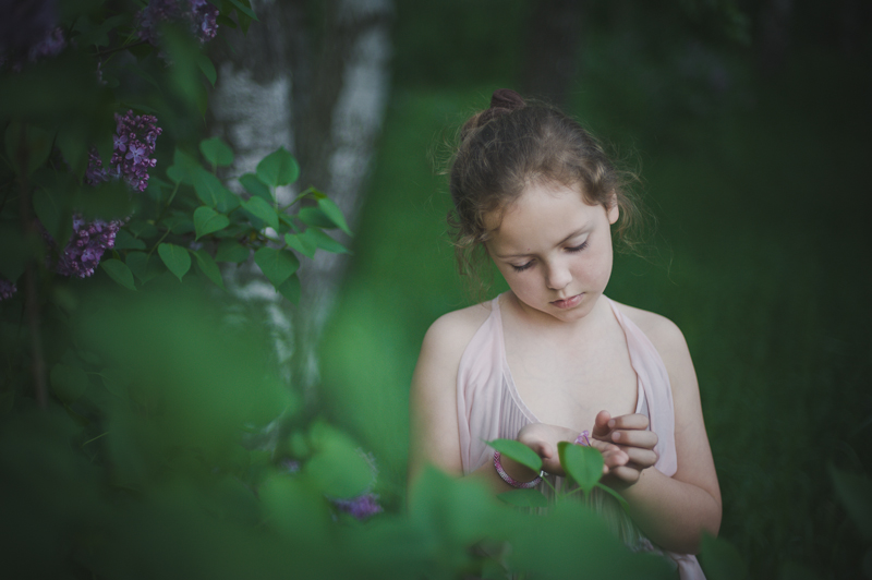 sander - N.. .. Zdjęcie 92310