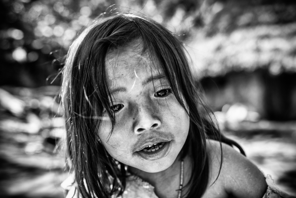 wlamparski - duchy dżungli. . Zdjęcie 181635