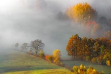 Autumn Deluxe...