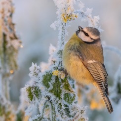 W pierwszych promieniach 