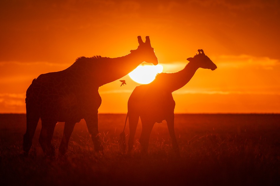 Sunset. . Zdjęcie 338521