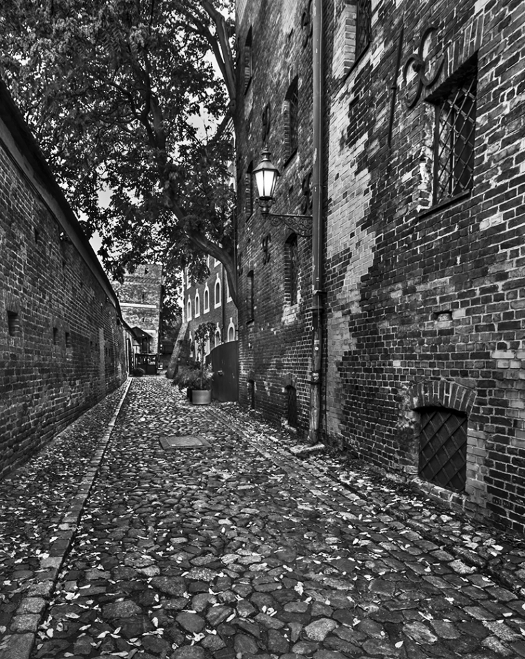 ****. . Zdjęcie 336916