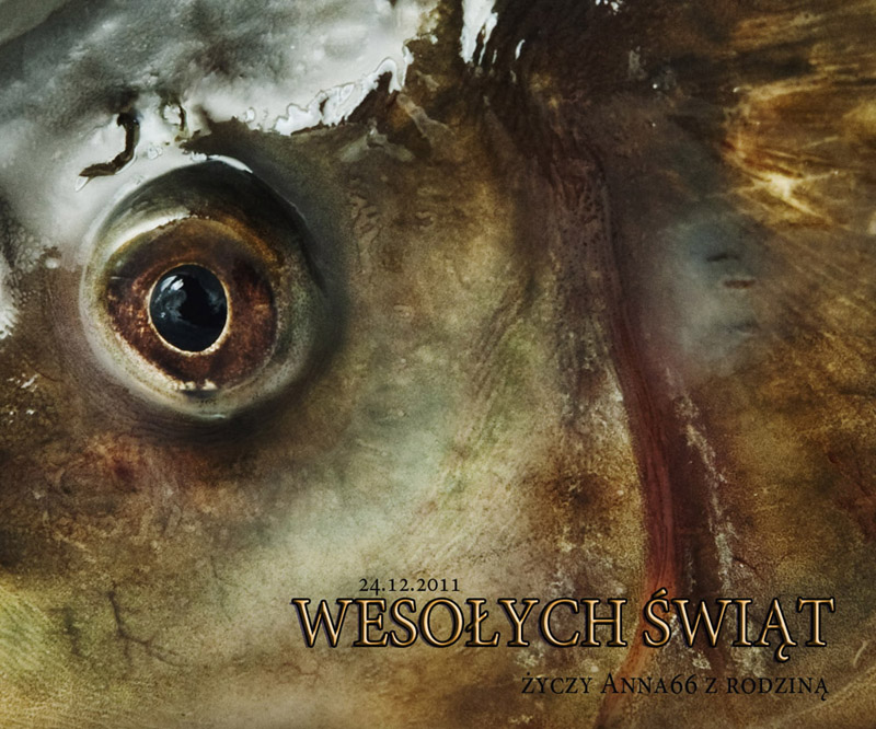  - Wesołych Świąt!. więcej na: http://humantria.blogspot.com/. Zdjęcie 47028