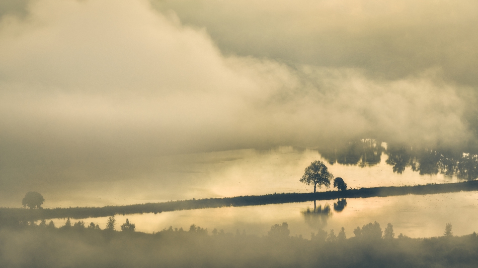 shooter76 - . . Zdjęcie 290919