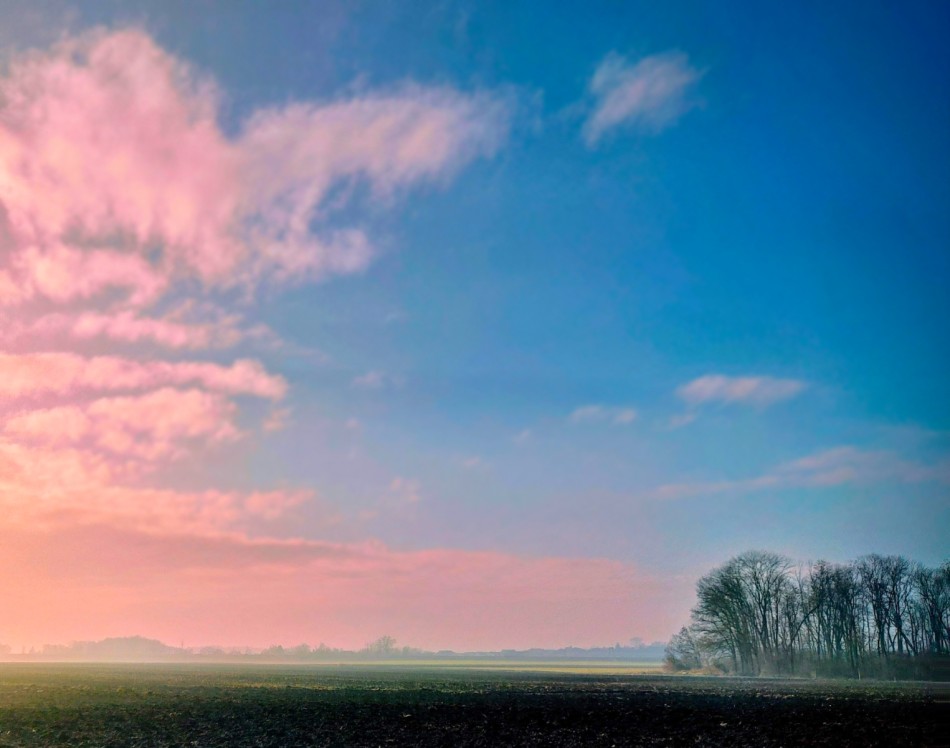 cukierkwo . . Zdjęcie 338469