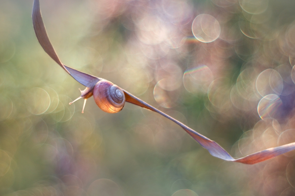 agnez - . Jest PE. Zdjęcie 167984