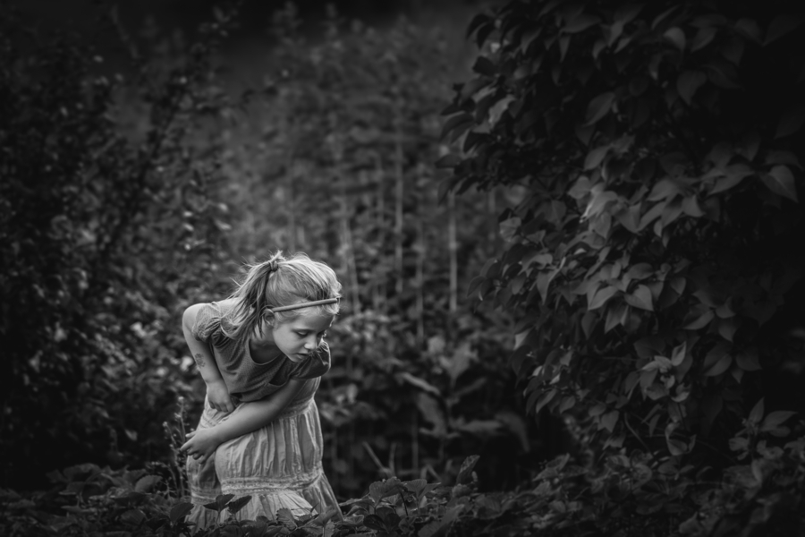 bystrzak - Zbieranie truskawków. . Zdjęcie 115779