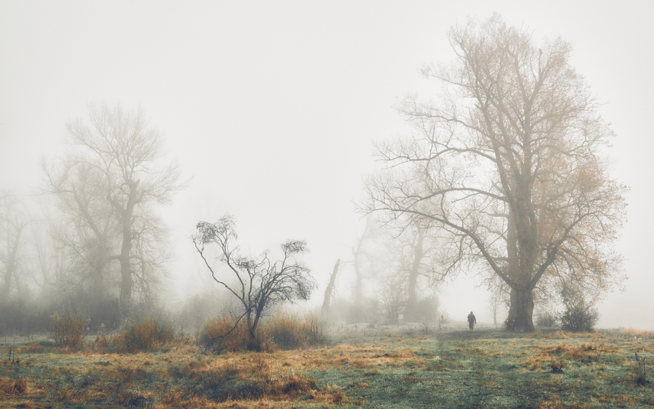 shooter76 - . . Zdjęcie 279143