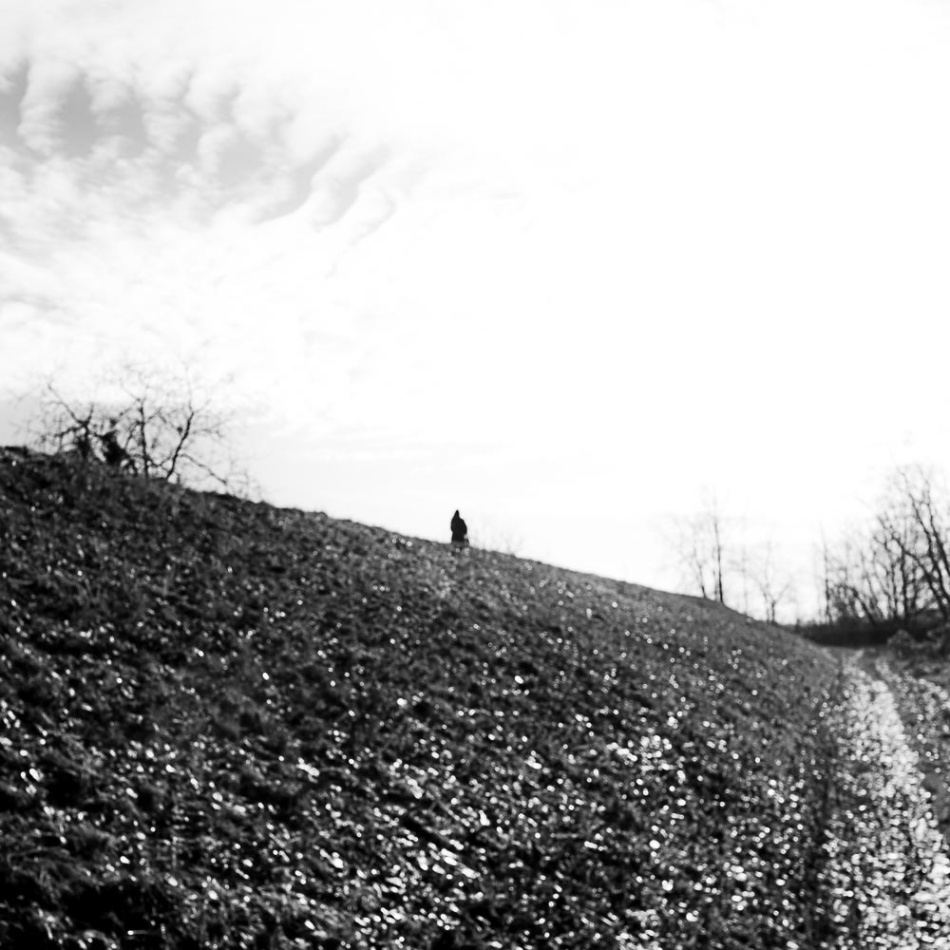 -. -. Zdjęcie 337084