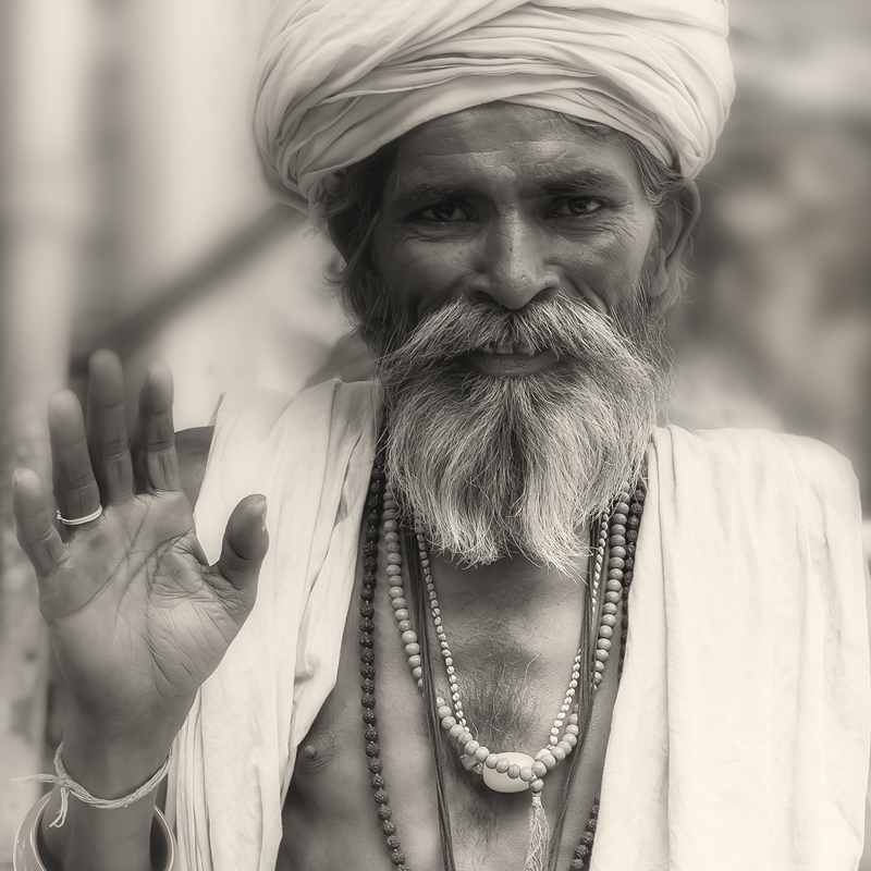 fotoel - hello friend. . Zdjęcie 96788