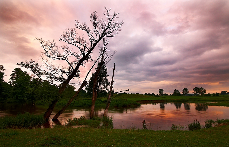 fotoel - Pasłęka. . Zdjęcie 63901