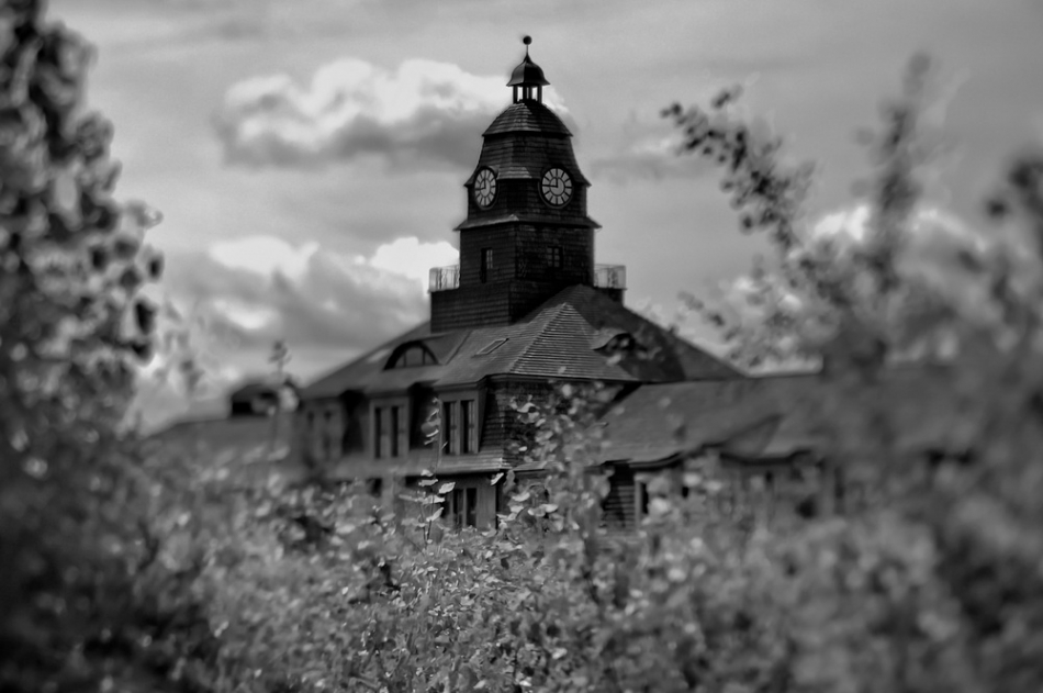 draaa - Katowice Uthyman. . Zdjęcie 336688