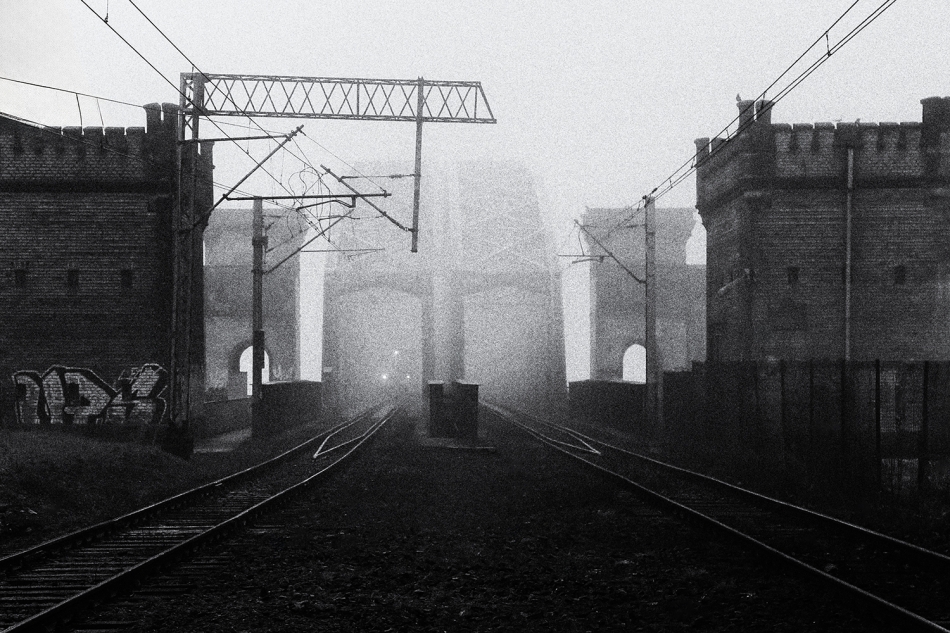 *. . Zdjęcie 336414