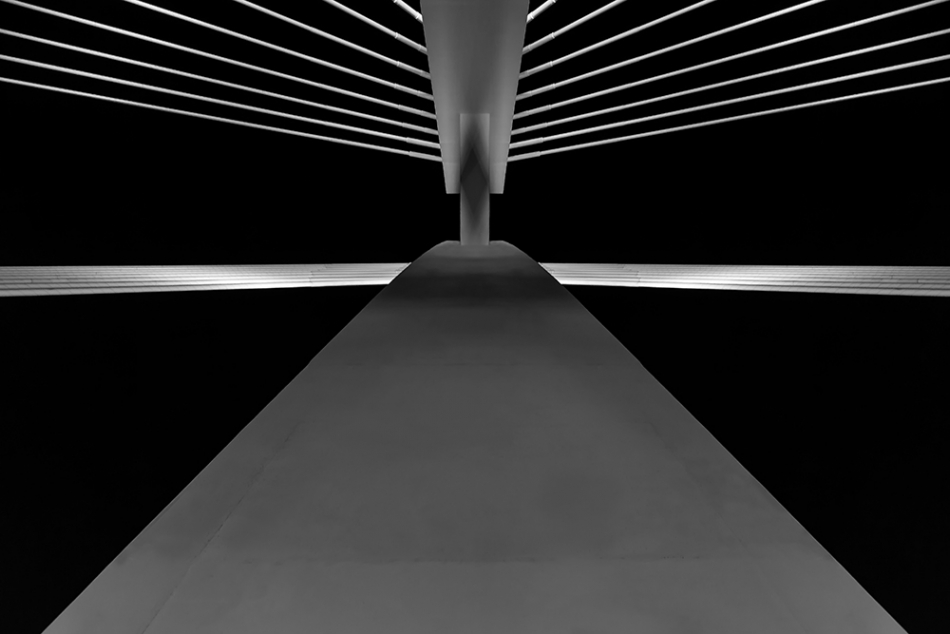 janish - . . Zdjęcie 204669