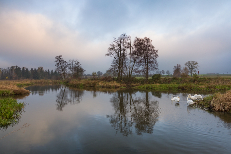 Brak tytułu. . Zdjęcie 278149