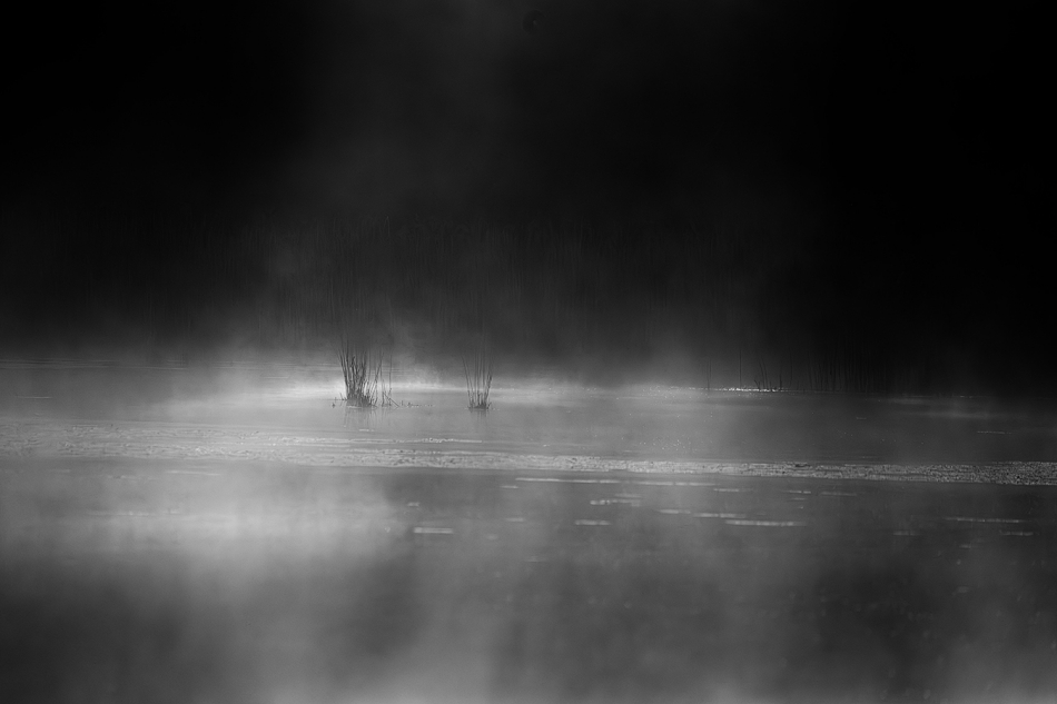 akrims - . . Zdjęcie 315649