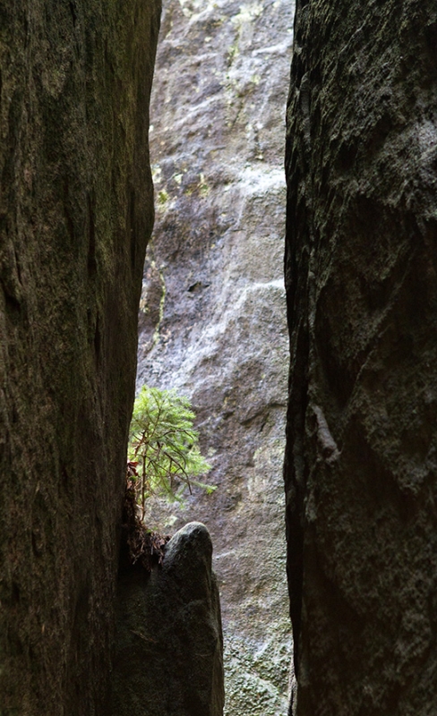 mcin70 - Szczeliniec. Ostrość na PE. Zdjęcie 60639