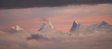 Wetterhorn , Schreckhor...