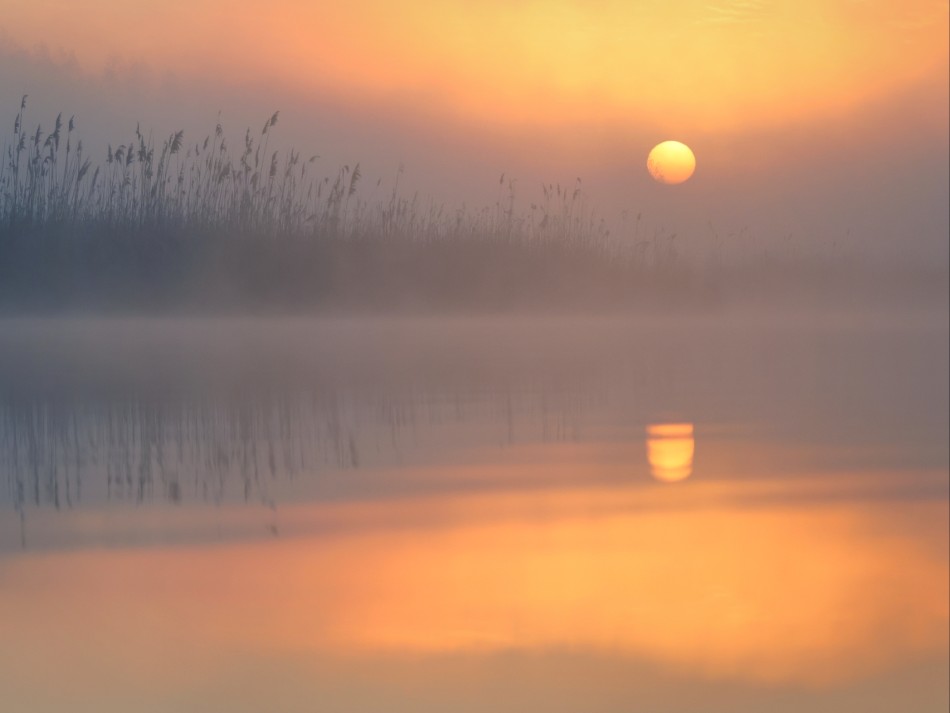 Wschód w lustrze. . Zdjęcie 339768