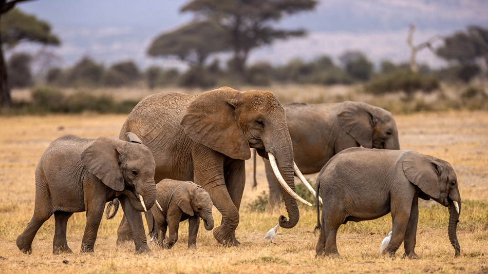 rybo_lub - Familia. . Zdjęcie 318700