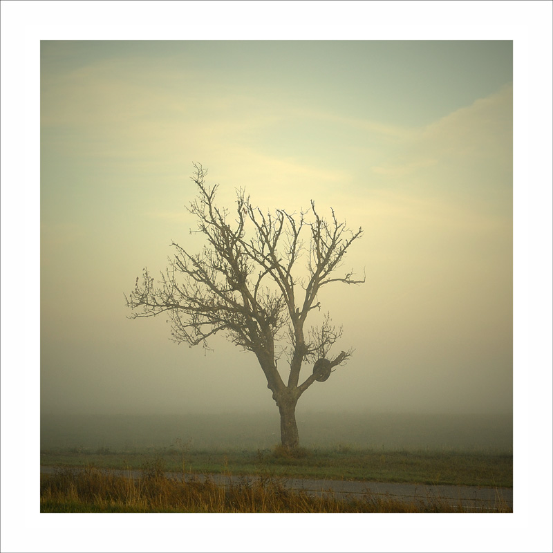 vvalseivv - ........... . Zdjęcie 134685