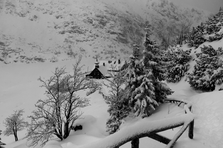 Samotnia.... Zabierz mnie w tę podróż Gdzie granice czasu rozrzucone W katedrach lasu W słowach których zapomniały języki... https://www.youtube.com/watch?v=vFGAOK-PKSU&list=RDvFGAOK-PKSU&start_radio=1. Zdjęcie 337370