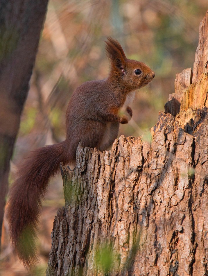 No i gdzie to schowałam. . Zdjęcie 339616