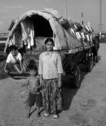 Nomade gypsies