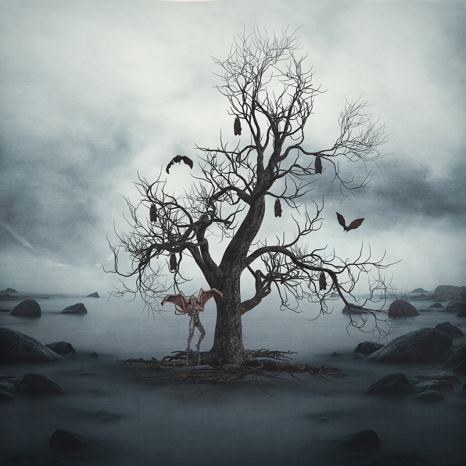 Drzewo które karmi noc. . Zdjęcie 339072