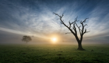 A Source of Life and Death