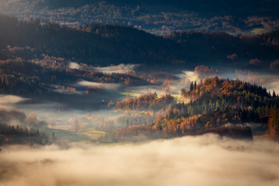 Autumn Deluxe.... . Zdjęcie 336721