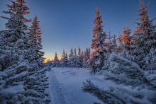 Winter Path...