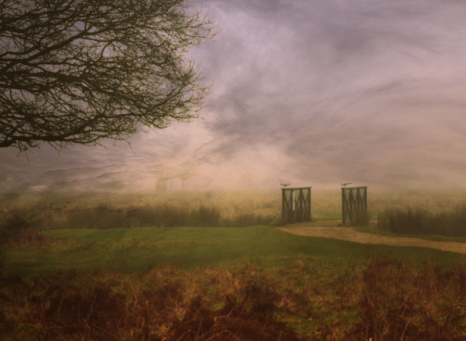 Somesuch Stories. . Zdjęcie 339691