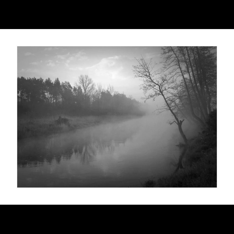 In This River. . Zdjęcie 337067