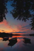 Lazy Summer Evening...II