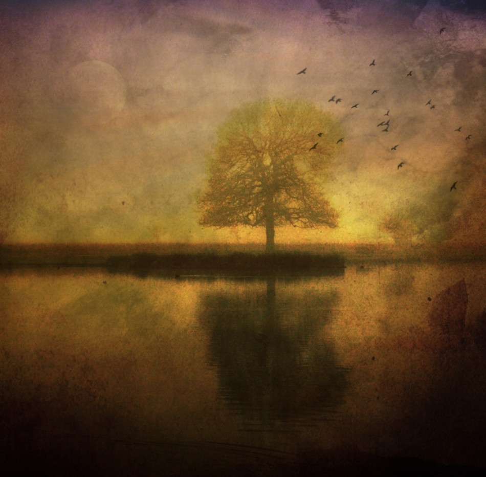 The Lost Morning. . Zdjęcie 335251