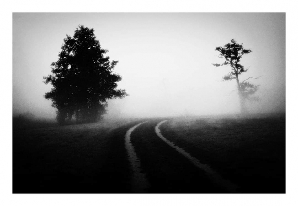 keytoo_ - . . Zdjęcie 330803