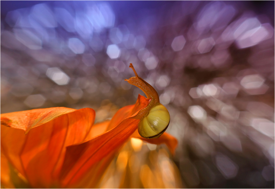 bluejeans - Zatrzymać chwilę. . Zdjęcie 35384