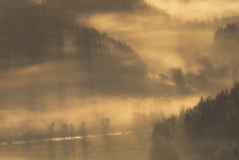 The River Of Golden Hills